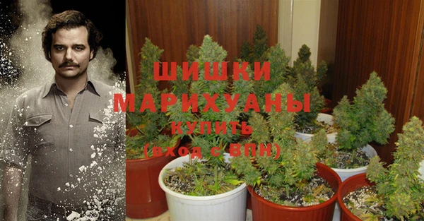 apvp Михайлов