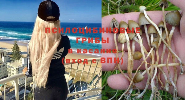 apvp Михайлов
