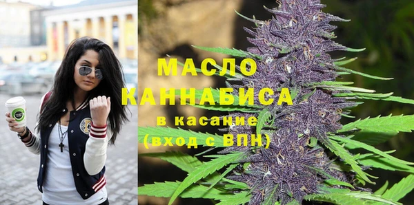 apvp Михайлов