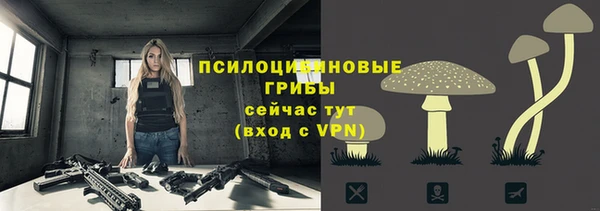 spice Михайловка