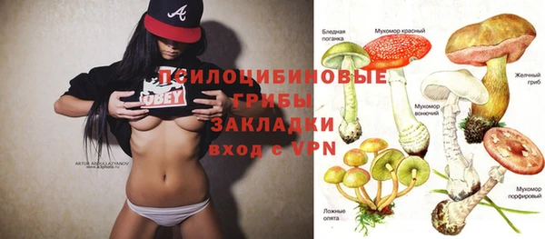 apvp Михайлов