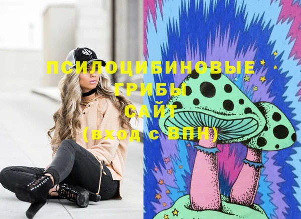 spice Михайловка