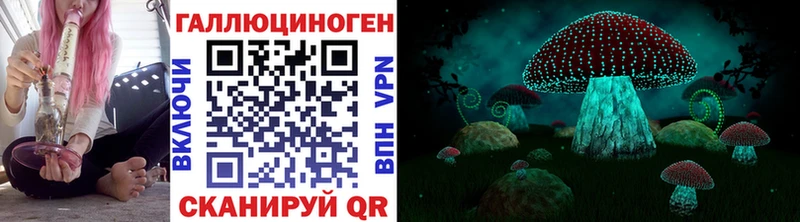 Галлюциногенные грибы мицелий  Купить  Гусев 