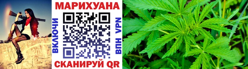 Шишки марихуана OG Kush Купить Гусев